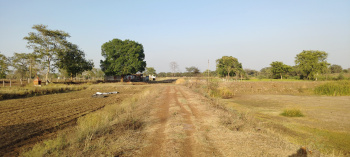 9.5 Acre Agricultural/Farm Land for Sale in Basantpur, Rajnandgaon