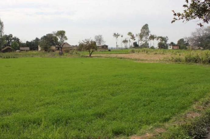 18 Acre Agricultural/Farm Land For Sale In Bhikangaon, Khargone