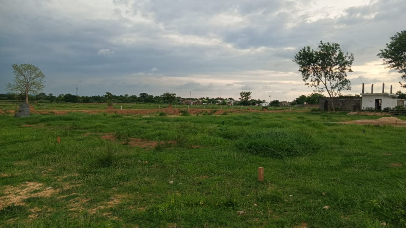 10 Acre Agricultural/Farm Land For Sale In Bhikangaon, Khargone