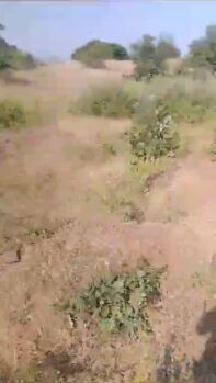 Full complete agriculture land And one home with Land