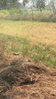 Facilities such as : water,electricity, road tuch land full facilities available