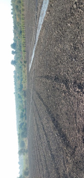 Property for sale in Kasrawad, Khargone