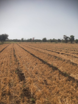 3 Acre Agricultural/Farm Land for Sale in Maheshwar, Khargone