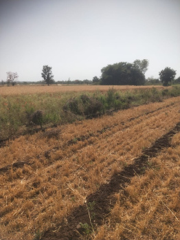 Property for sale in Maheshwar, Khargone