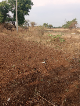 13 Acre Agricultural/Farm Land for Sale in Barwaha, Khargone