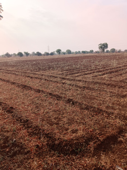 9 Acre Agricultural/Farm Land for Sale in Bhikangaon, Khargone