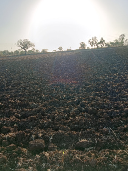 6 Acre Agricultural/Farm Land for Sale in Barwaha, Khargone