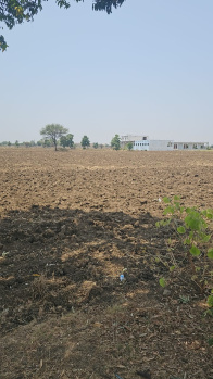 50 Acre Agricultural/Farm Land for Sale in Zirnia, Khargone