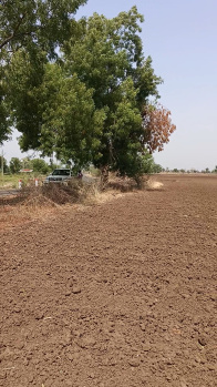 44 Acre Agricultural/Farm Land for Sale in Mandleshwar, Khargone