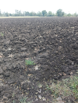 Property for sale in Mundi, Khandwa