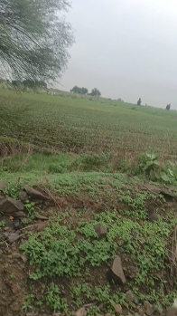 10000 Sq.ft. Agricultural/Farm Land for Sale in Sunjwan, Jammu