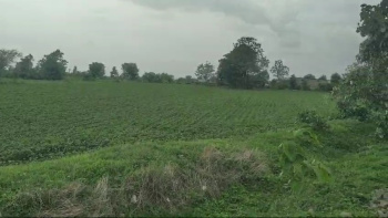 6 Acre Agricultural/Farm Land for Sale in Bhikangaon, Khargone