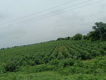 7.67 Acre Agricultural/Farm Land for Sale in Bhikangaon, Khargone