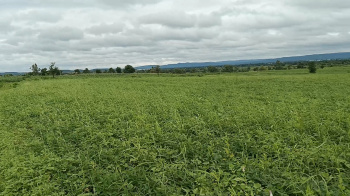 Property for sale in Zirnia, Khargone