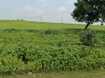 6.8 Bigha Agricultural/Farm Land for Sale in Maheshwar, Khargone