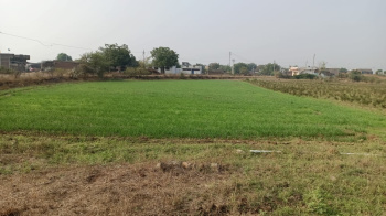 20 Acre Agricultural/Farm Land for Sale in Mundi, Khandwa