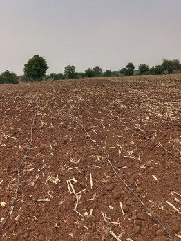 60 Acre Agricultural/Farm Land for Sale in Mundi, Khandwa