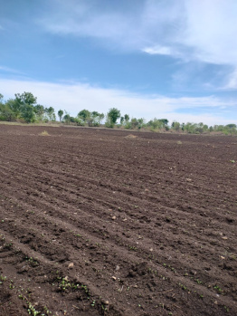 15 Acre Agricultural/Farm Land for Sale in Bhikangaon, Khargone