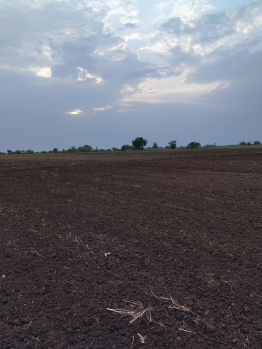 Agricultural/Farm Land for Sale in Gogawan, Khargone (25 Acre)