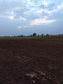 Property for sale in Gogawan, Khargone