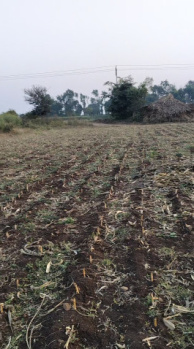 Agricultural/Farm Land for Sale in Bhikangaon, Khargone (38 Acre)