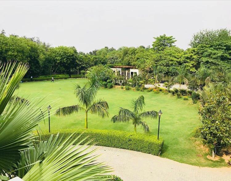 5 BHK Farm House For Sale In Sohna, Gurgaon (1 Acre)