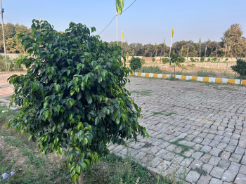 1000 Sq.ft. Residential Plot for Sale in Dubbaga, Lucknow