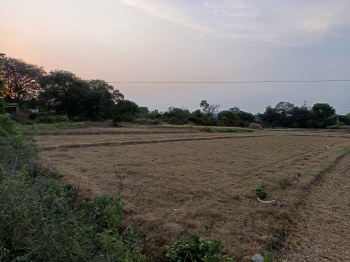 1 Acre Agricultural/Farm Land for Sale in Ranipettai, Vellore