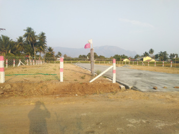 1200 Sq.ft. Residential Plot for Sale in Muthugapatti, Namakkal