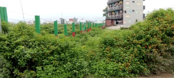 366 Sq. Yards Residential Plot for Sale in Nirmal Bag, Rishikesh