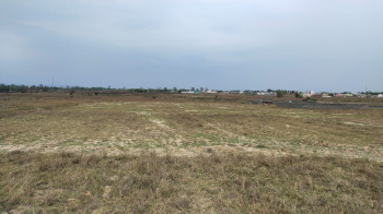 2 Acre Agricultural/Farm Land for Sale in Hodal, Palwal