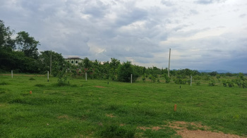 5.5 Acre Agricultural/Farm Land for Sale in Banchari, Palwal