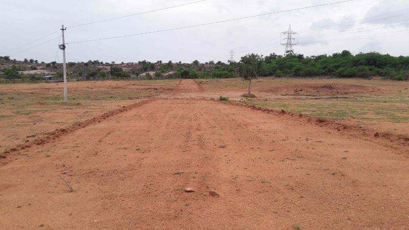 100 Sq. Yards Residential Plot for Sale in Panchkula