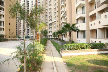 Flats & Apartments for Rent in Sector 143B, Noida, Noida (1000 Sq.ft.)
