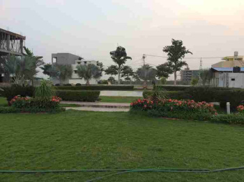 800 Sq.ft. Residential Plot for Sale in Nipania, Indore