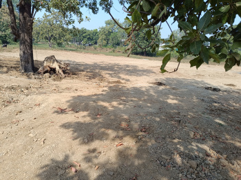 Agricultural/Farm Land for Sale in Narayanganj, Mandla (10000 Sq.ft.)