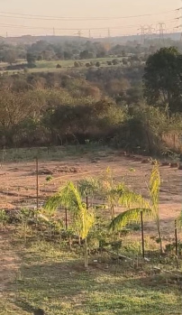 Property for sale in Bhedaghat, Jabalpur