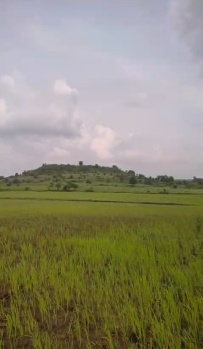 Property for sale in Tilwara, Jabalpur