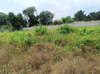 Property for sale in Tilhari, Jabalpur