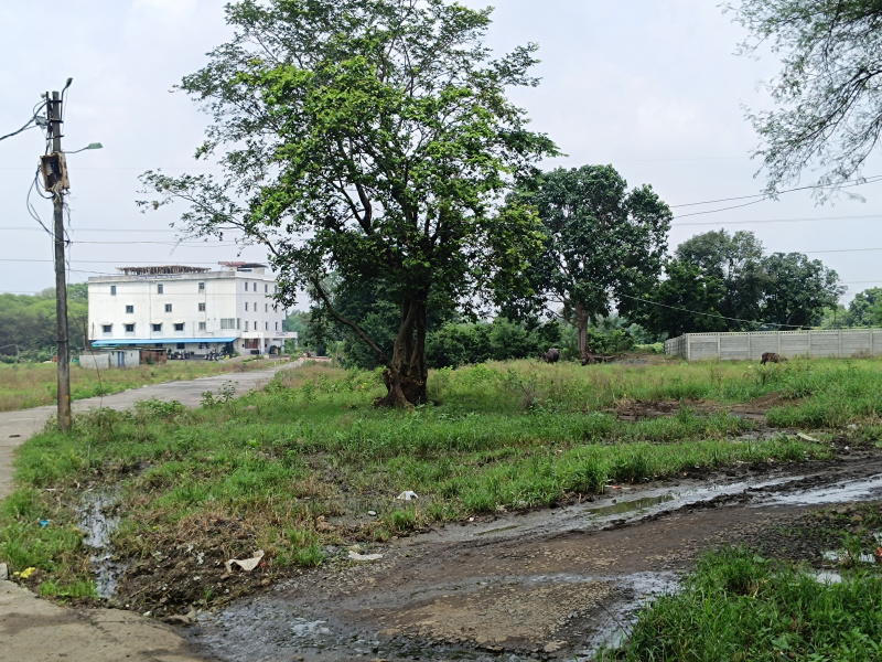 Residential Plot for Sale in Tilhari, Jabalpur (6000 Sq.ft.)