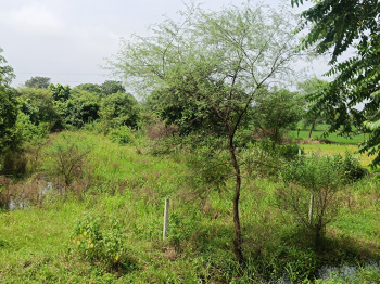 Property for sale in Panagar, Jabalpur