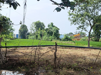 Property for sale in Panagar, Jabalpur