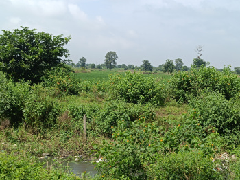 Property for sale in Panagar, Jabalpur
