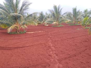 Agricultural/Farm Land For Sale In Kalakkad, Tirunelveli (950 Acre)