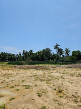 Agricultural/Farm Land For Sale In Paramakudi, Ramanathapuram (2760 Acre)