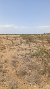 Agricultural/Farm Land For Sale In Velipattinam, Ramanathapuram (5000 Acre)