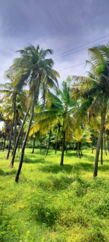 Property for sale in Seydunganallur, Tirunelveli