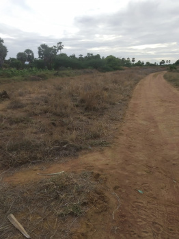 Property for sale in Tenkasi, Tirunelveli