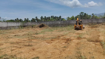 17 Acre Agricultural/Farm Land for Sale in Palayamkottai, Tirunelveli