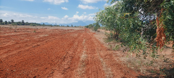 180 Acre Agricultural/Farm Land for Sale in Karungulam, Tirunelveli